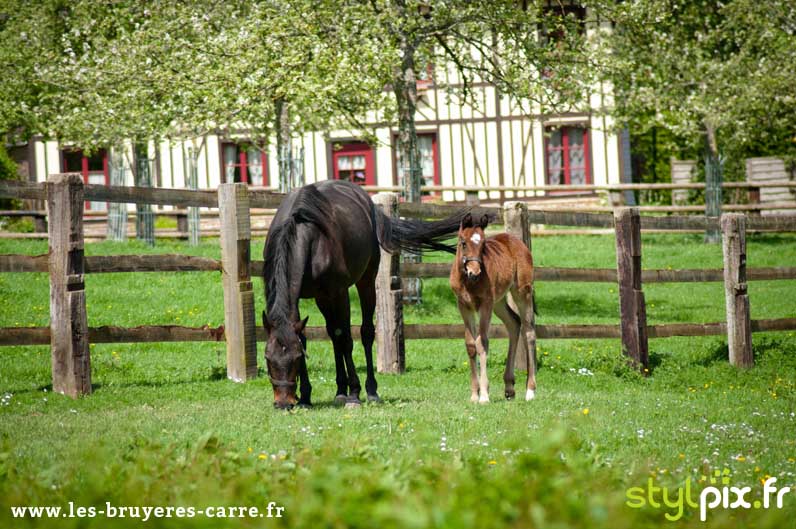 photographie exterieure calvados normandie