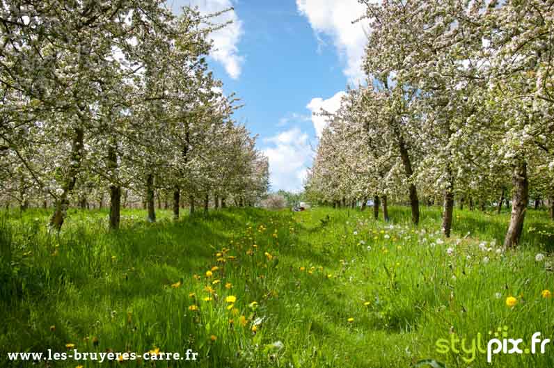 photographie exterieure calvados normandie