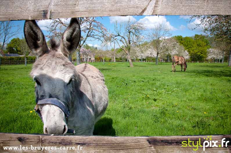 photographie exterieure calvados normandie