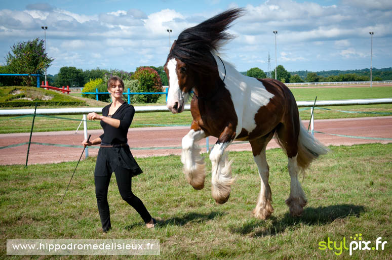 photographe lisieux photographies calvados-11