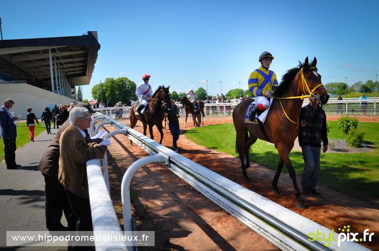 photographe lisieux photographies calvados-11