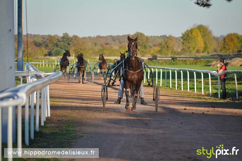 photographe lisieux photographies calvados-11