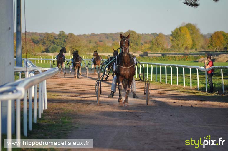 photographe lisieux photographies calvados-09