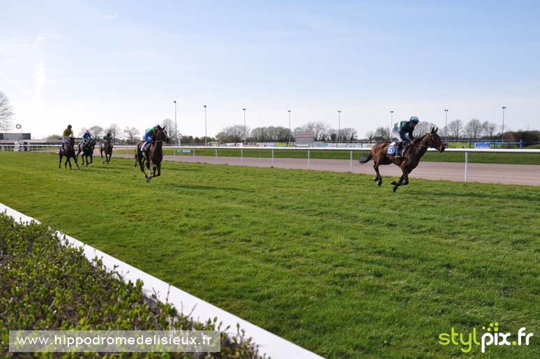 photographe lisieux photographies calvados-11
