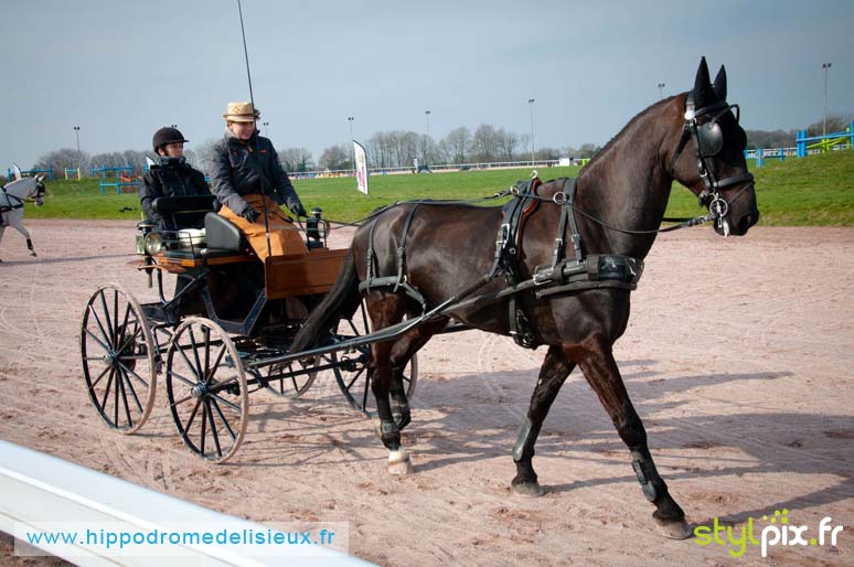 photographe lisieux photographies calvados-11