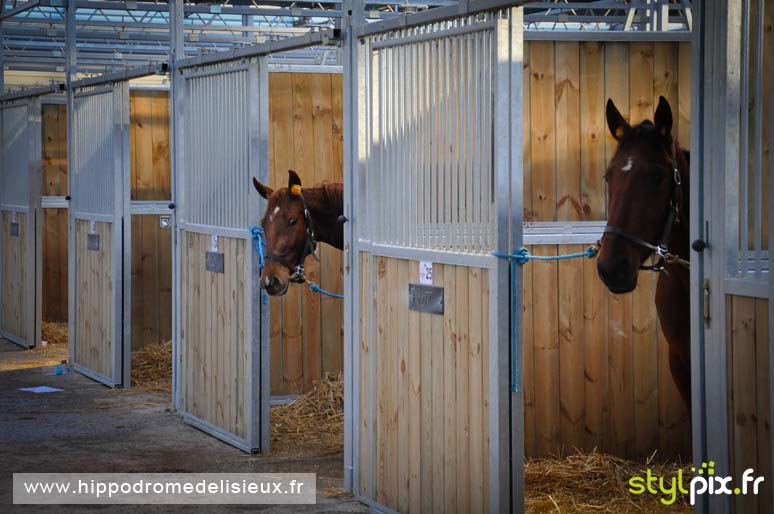 photographe lisieux photographies calvados-09