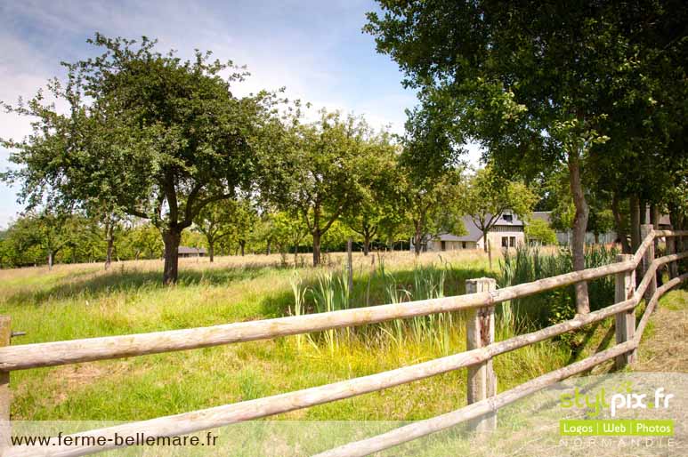 photographies ferme cormeilles eure