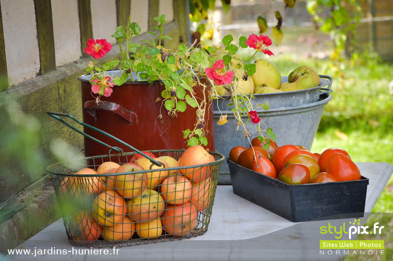 photographie gîte lisieux